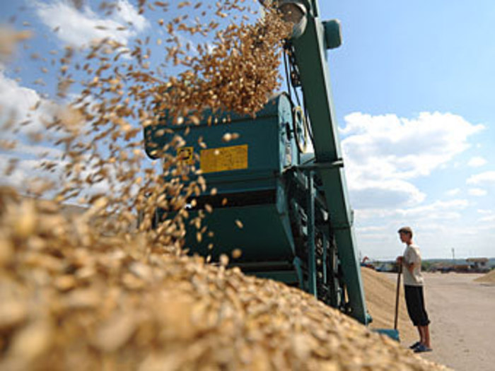Российский зерновой союз рассчитывает на рекордный уровень экспорта
