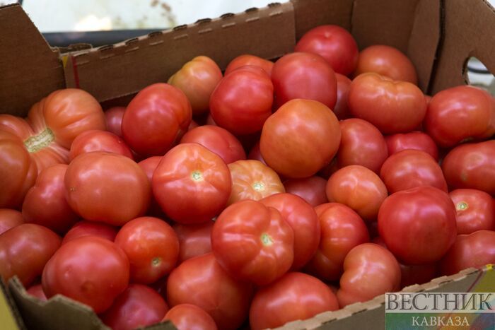 Россияне не увидят турецких томатов в ближайшие годы - Минсельхоз