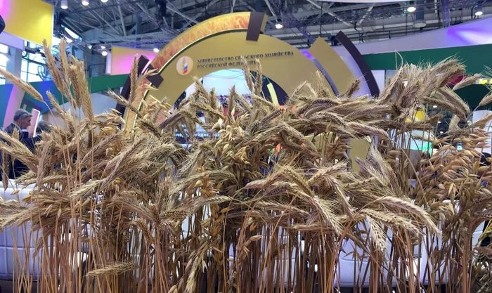 Российские власти увеличат господдержку аграриев