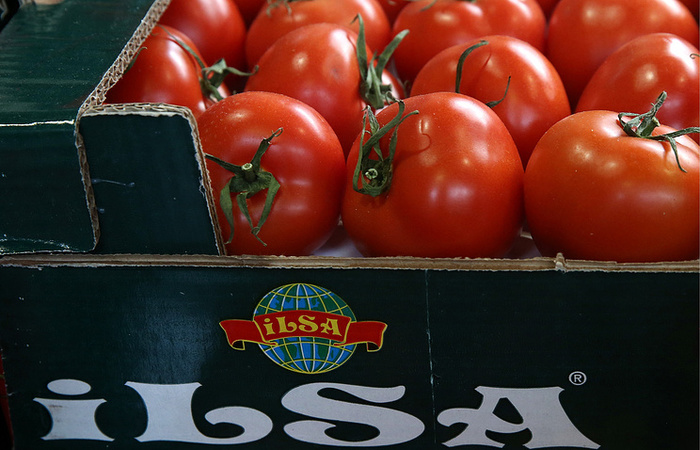 Россия дала "зеленый свет" турецким томатам