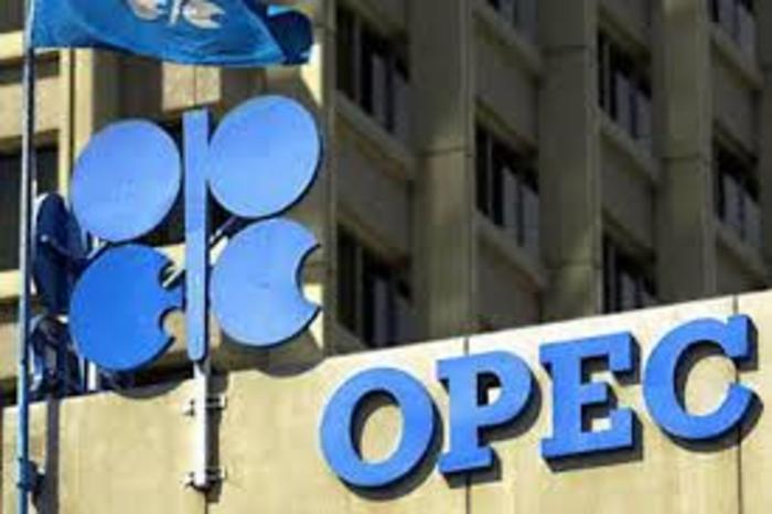 ОПЕК повысила прогноз по мировому спросу на нефть 