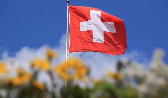 Швейцарские парламентарии приедут на выборы президента России