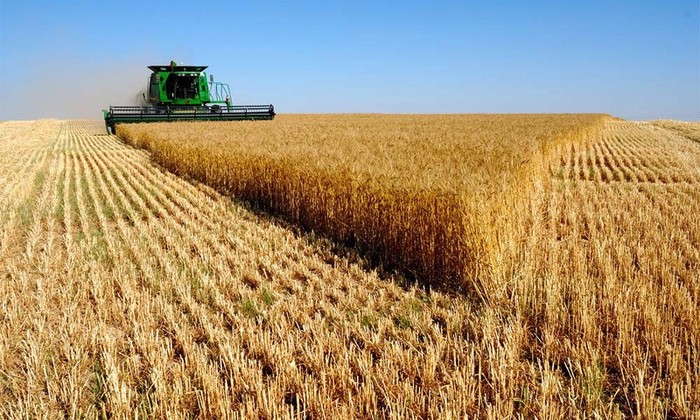 Россия продолжит субсидирование аграриев 