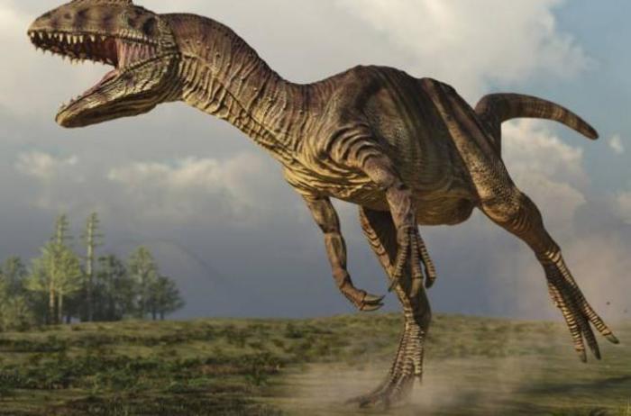 Девятиметровый скелет хищного динозавра продали за 2 млн евро