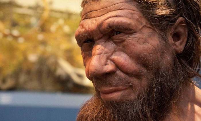 Ученые рассказали о неизвестном ранее навыке неандертальцев