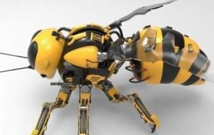 Томские ученые займутся созданием роботов-пчел