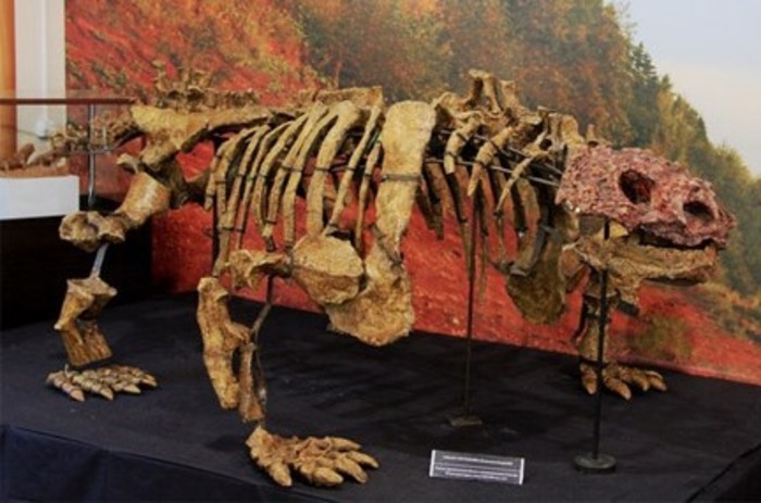 Палеонтологи раскопали под Кировом останки парейазавров