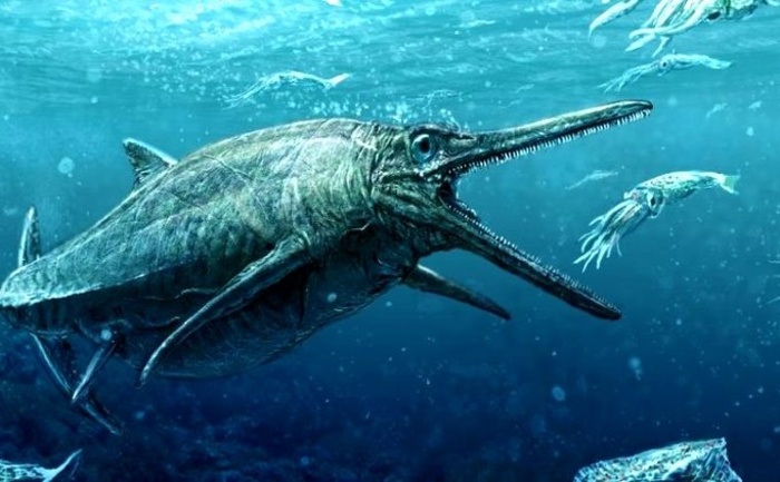 Палеонтологи рассказали, как выглядели "морские чудища" времен динозавров