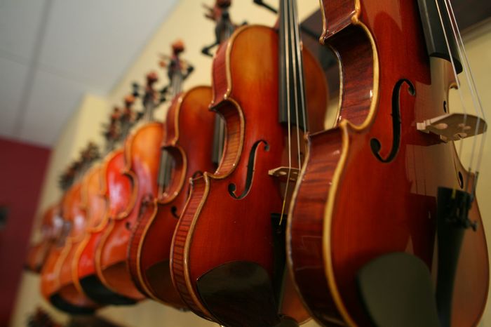 В Дрездене можно будет услышать скрипки из Освенцима