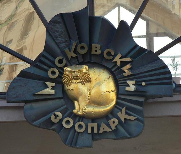 Символ-манул официально возвращается в Московский зоопарк