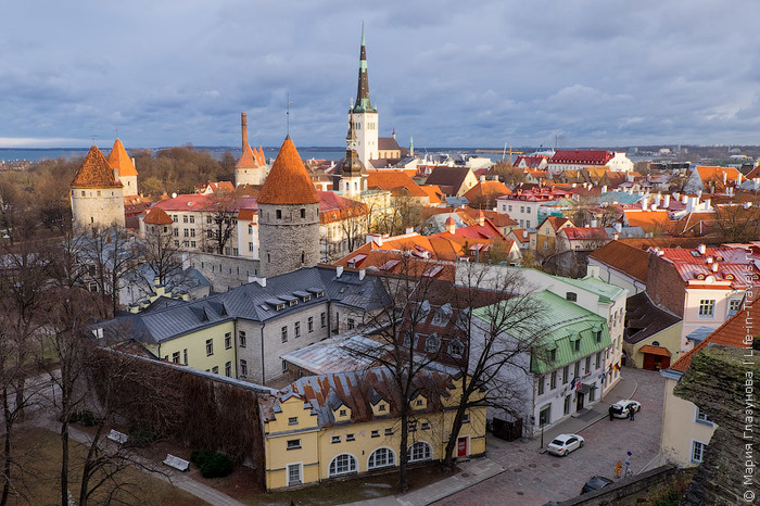 Туристы из России все чаще выбирают Эстонию