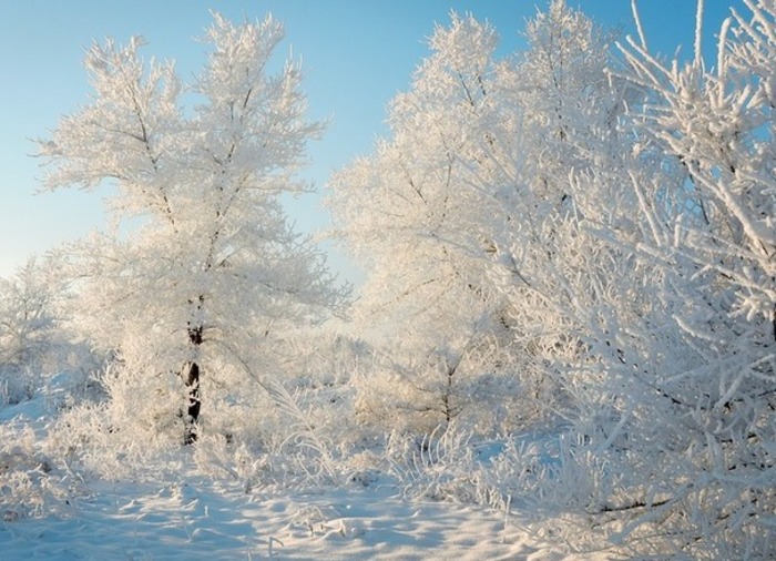 В апреле в Россию вернутся 30-градусные морозы