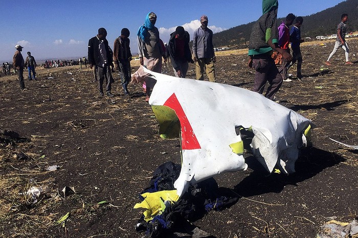 В крушении Boeing в Эфиопии виновата птица?