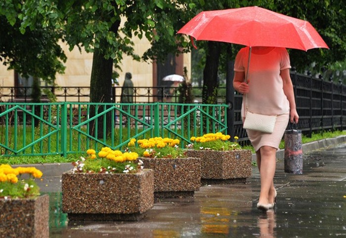 Какая погода будет 9 мая в Москве?