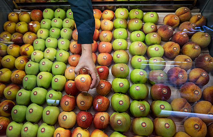 Россия на девять месяцев может остаться без импортных фруктов