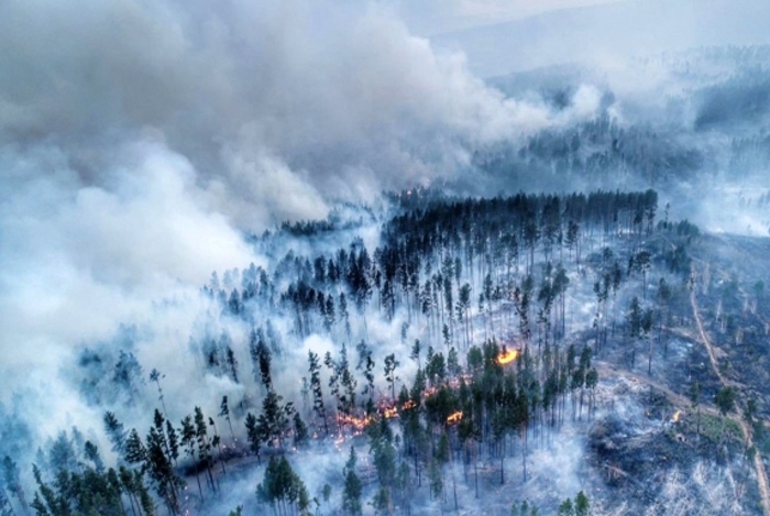 Смог от пожаров окутал более 800 населенных пунктов