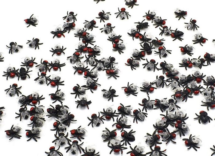 Более 20 млн живых насекомых-нелегалов из Британии задержали во "Внуково"
