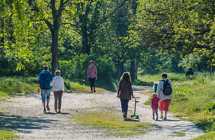 Ученые доказали, что прогулки в парках значительно повышают настроение