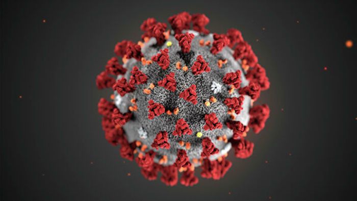 В Китае назвали сроки завершения пандемии коронавируса