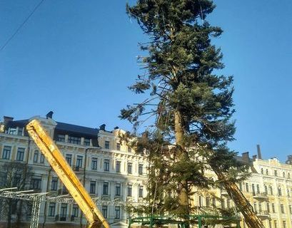 Киевская новогодняя елка изумила пользователей интернета