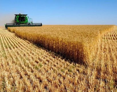Россия продолжит субсидирование аграриев 