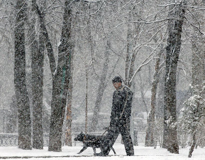 В Центральную Россию возвращается зима