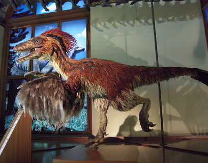 Следы динозавров впервые нашли в китайской провинции Шаньдун