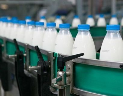 Больше 20% молочных продуктов в России являются фальсификатом