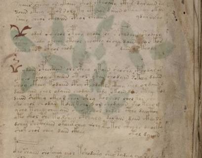Загадочный манускрипт Войнича расшифровали в Бристоле