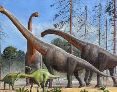 Останки редкого динозавра нашли под Кемерово