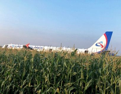 В поле возле Жуковского аварийно сел самолет, пострадали 23 человека