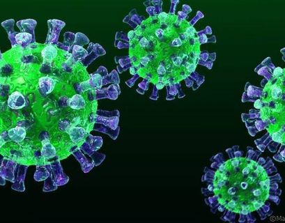 Вакцина от коронавируса появится в России через несколько месяцев