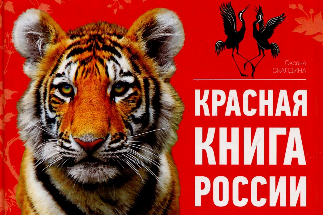 Картинки с надписью животные красной книги