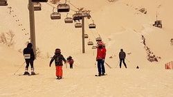 Глобальное потепление окрасило снег в Европе и на Кубани (ВИДЕО)