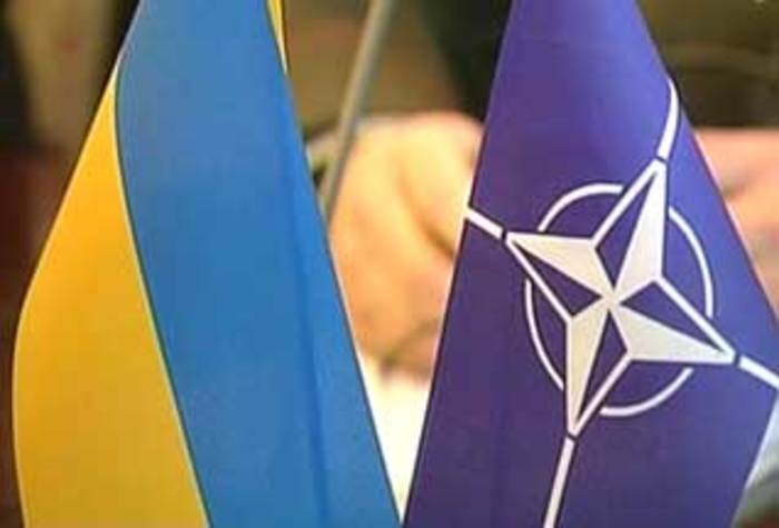 Киев признал неготовность к членству в НАТО
