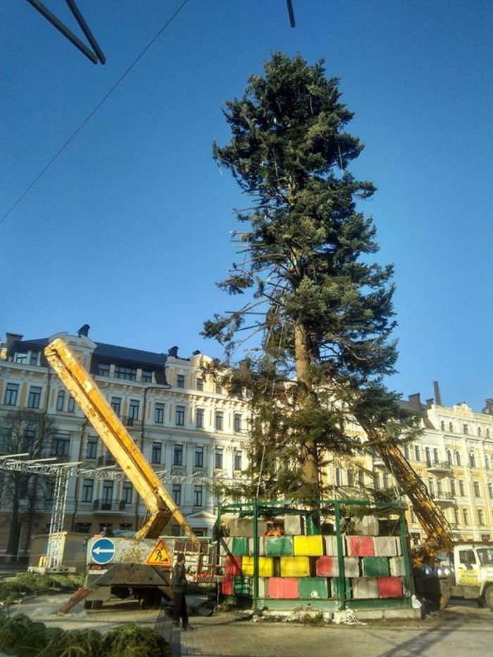 Киевская новогодняя елка изумила пользователей интернета