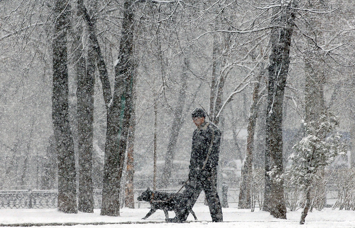 В Центральную Россию возвращается зима
