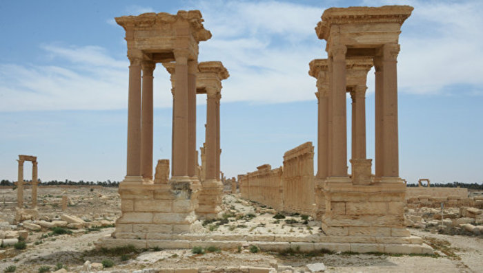 Гендиректор Эрмитажа оценил шансы восстановления культурного наследия в Сирии