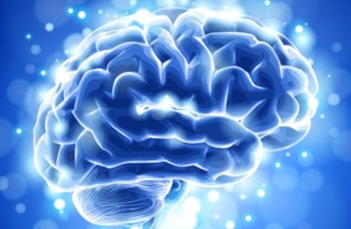 Ученые нашли в мозге область, отвечающую за депрессию
