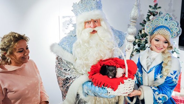 Столичный зоопарк получил новогодний подарок от Деда Мороза