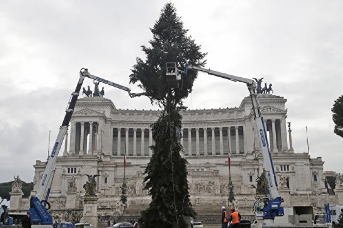 Третий год жители Рима возмущены рождественской елкой
