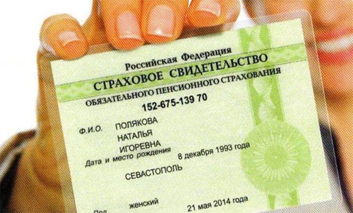 В России перестали выдавать бумажный СНИЛС