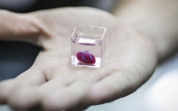 Живое сердце напечатали на 3D-принтере в Израиле