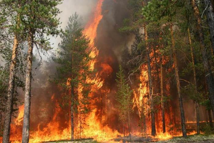 Природный пожар перекинулся на военный полигон в Нижегородской области