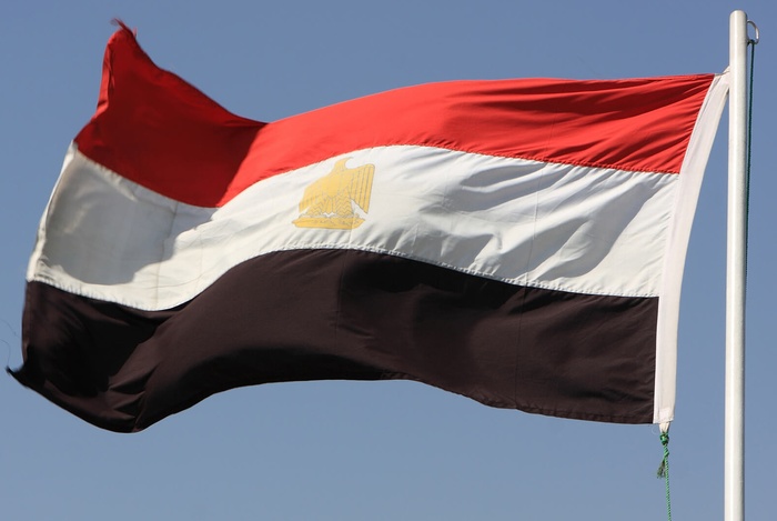 Египет проголосовал за изменение конституции 