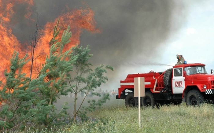  В России за сутки потушили 70 лесных пожаров