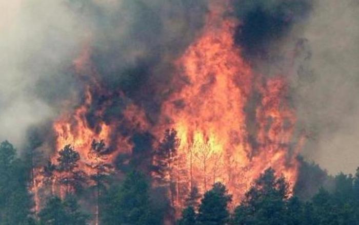 В Бутярии объявлен максимальный уровень пожарной опасности
