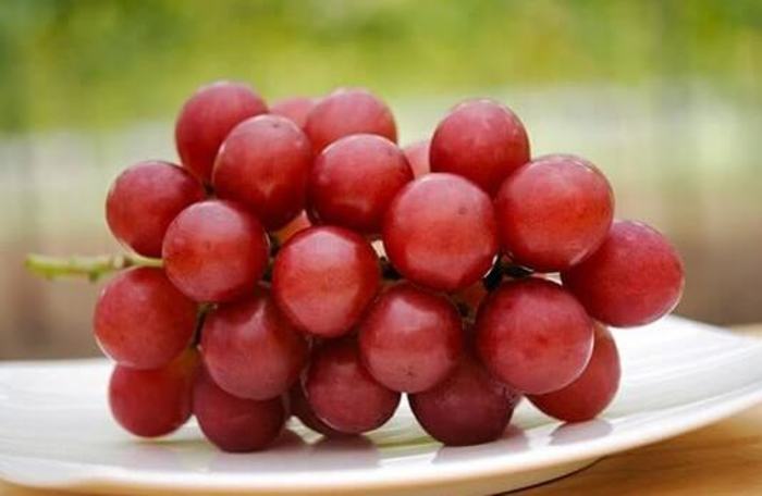 Гроздь самого дорого в мире винограда продали на аукционе в Японии