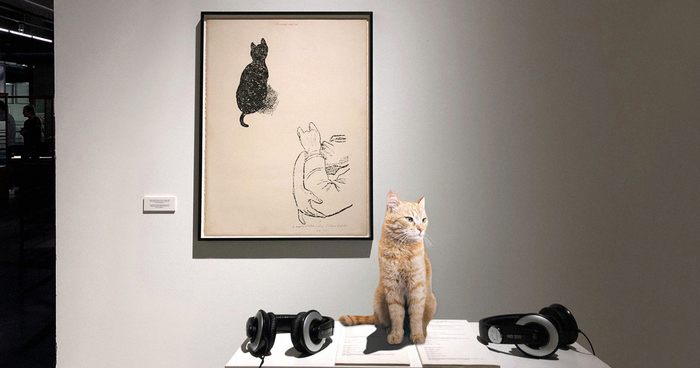 Кот-символ музея "Гараж" сбежал