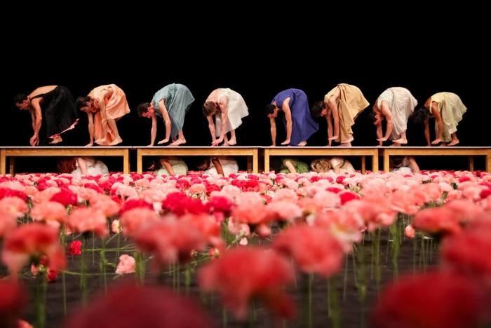 Танец 8 тыс гвоздик покажет театр Пины Бауш в Тель-Авиве